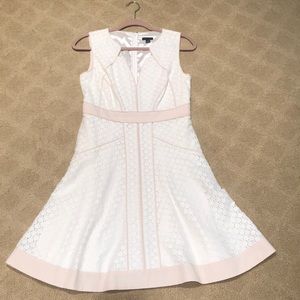 Ann Taylor Dress